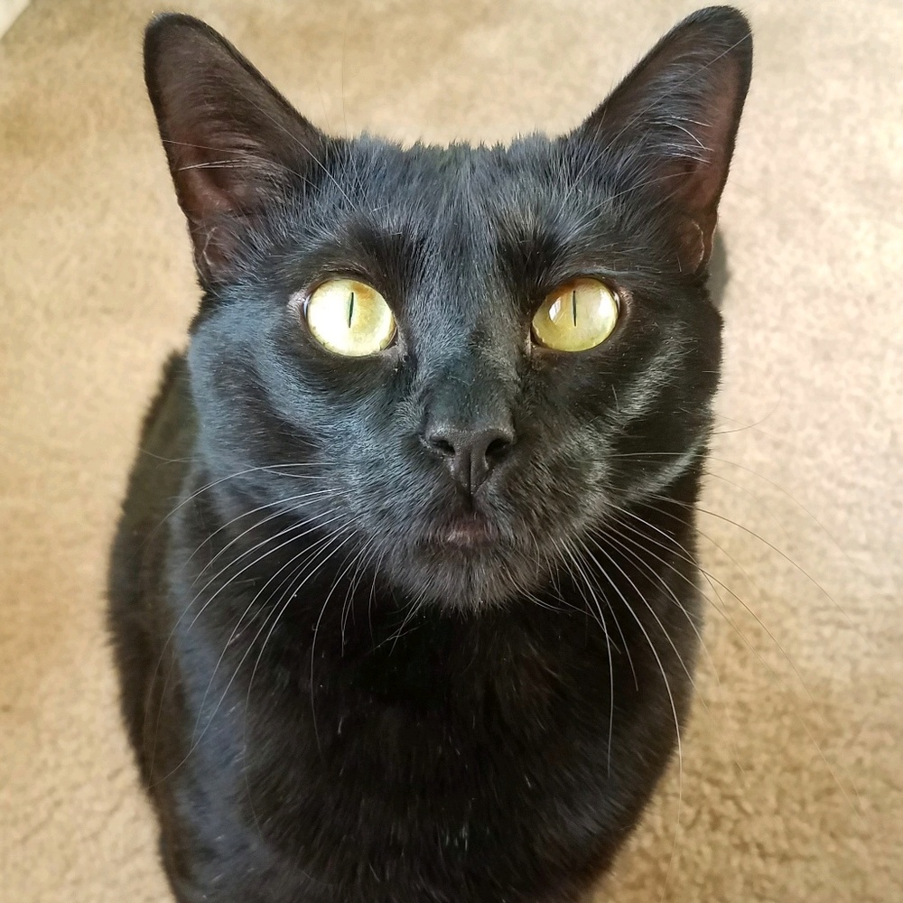 Meet your Posher, Melanie